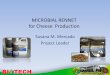 MICROBIAL RENNET for Cheese Production