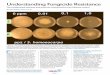Understanding Fungicide Resistance