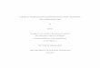CHEMICAL STABILIZATION OF EXPANSIVE SOILS USING LIQUID 
