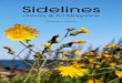 Sidelines - Simmons University Literary & Art Magazine 