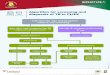 Algorithm for screening and diagnosis of TB in PLHIV