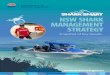 NSW SHARK MANAGEMENT STRATEGY