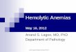 Hemolytic Anemias - Pathology