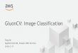 GluonCV: Image Classification