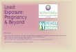 Lead Exposure: Pregnancy - MotherToBaby