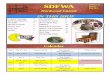 SDFWA Volume 32 Issue 5 May 2013 Hardwood Gazette