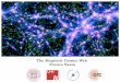 The Magnetic Cosmic Web Franco Vazza - INAF IASF-Milano