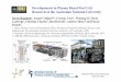 Developments in Plasma Based Fuel Cell Research at the 