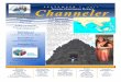 Juneau-Gastineau Rotary Channeler