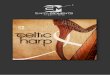 World Strings Series – Celtic Harp