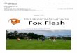 Fox Flash 9718