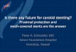 Is there any future for carotid stenting?