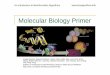 Molecular Biology Primer - Helsinki