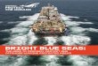 BRIGHT BLUE SEAS - Greenpeace UK