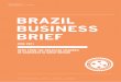 BRAZIL BUSINESS BRIEF