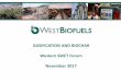 GASIFICATION AND BIOCHAR Western SWET Forum November …