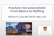 Fracture risk assessment: From Basics to Baffling