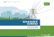 Smart Grid Program Overview - October 2020