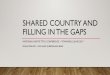 SHARED COUNTRY AND FILLING IN THE GAPS