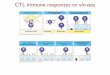 CTL immune responses to viruses