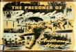 The prisoner of Zenda; being the history of three months 