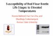 Susceptibility of Red Flour Beetle Life Stages to Elevated 