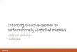 Enhancing bioactive-peptide by conformationally controlled 