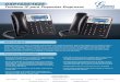 Teléfono IP para Pequeñas Empresas - Avanzada 7