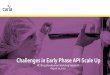 Challenges in Early Phase API Scale Up