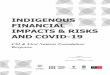 INDIGENOUS FINANCIAL IMPACTS & RISKS AND COVID-19 - …