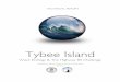 Tybee Island Wave Ecology Technical Report
