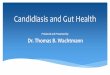 Candida and Gut Health