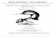 ATLANTIC FLYWAY - Maryland