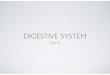 day11 digestive system - waibiology.weebly.com