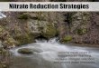 Nitrate Reduction Strategies