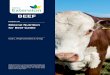 Chapter 20: Mineral Nutrition for Beef Cattle
