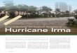 Hurricane Irma - wserver.arc.losrios.edu
