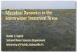 Microbial Dynamics in the Stormwater Treatment Areas