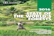 STATE OF THE WORLD’S FORESTS - Food and Agriculture 