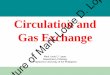 Lopez Circulation and Gas Exchange Louie - Weebly