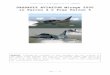 DASSAULT AVIATION Mirage 2000 in Falcon 4.0 Free Falcon 5