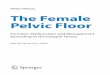 Peter Petros The Female Pelvic Floor