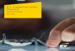 EY Cybersecurity Report