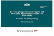 Emerging Challenges of Waste Management in Europe