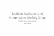 Methods Application and Interpretation Working Group