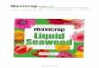 Maxicrop, Inc. Seaweed Products for Agriculture 
