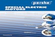 SPECIAL ELECTRIC MOTORS - Perske