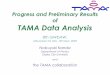 Progress and Preliminary Results of TAMA Data Analysis