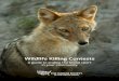 Wildlife Killing Contests - Humane Society of the United 