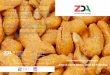 Name of project: Zambia Cashew Nut Processing